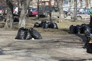 Уборка мусора обошлась москвичам в 8 миллионов  