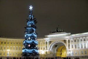 Петербуржцы голосуют за новогоднюю ель
