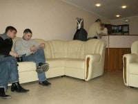 СТО Гепард Ростов-на-Дону, чистка форсунок, геометрия(сход-развал), диагностика инжектора, ремонт двигателя, ходовой, коробки